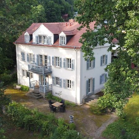 Villa Im Park Wachwitzgrund Dresde Exterior foto