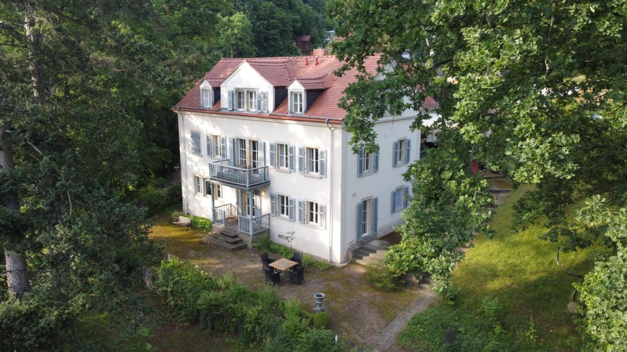 Villa Im Park Wachwitzgrund Dresde Exterior foto