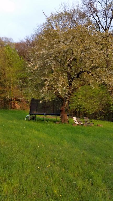 Villa Im Park Wachwitzgrund Dresde Exterior foto