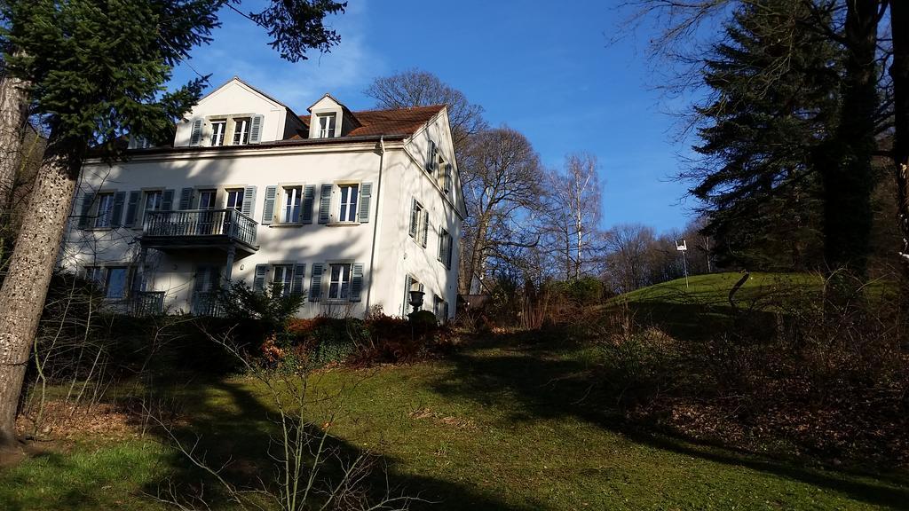 Villa Im Park Wachwitzgrund Dresde Exterior foto